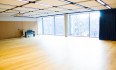 Dance Studio - Marlborough Primary School