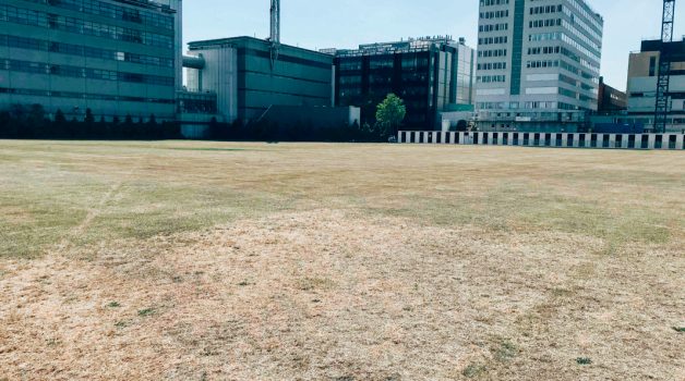 Ark Burlington Danes - Grass Field - Schools Plus