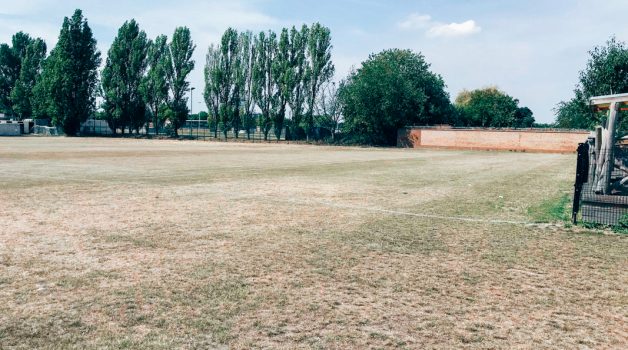 Ark Burlington Danes - Grass Field - Schools Plus