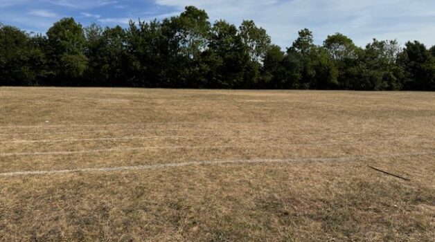 Football Pitch Hire Small Heath