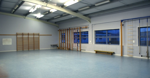 Gymnasium Oaks Park High School